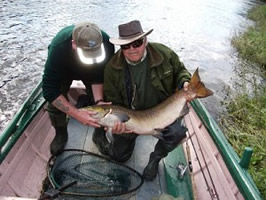 tay salmon