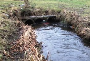 A culvert that could potentially limit fish movement
