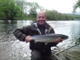 Tay salmon