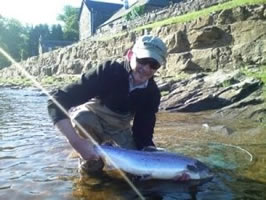 tay salmon
