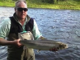 tay salmon