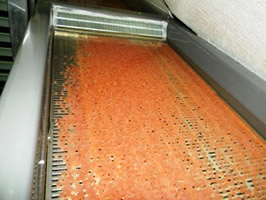 Atlantic Salmon eggs in the TDSFB hatchery