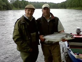 Tay salmon