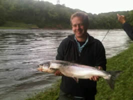 tay salmon
