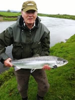 Tay salmon