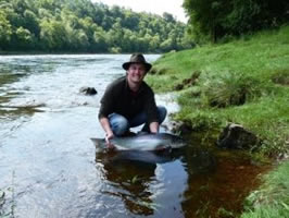 tay salmon