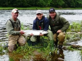 tay salmon