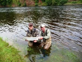 tay salmon