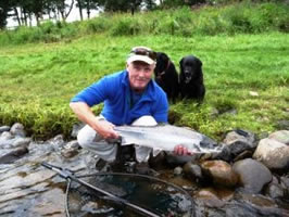 tay salmon