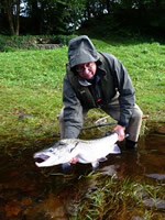 tay salmon