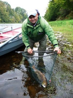 tay salmon