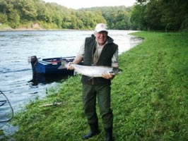 tay salmon