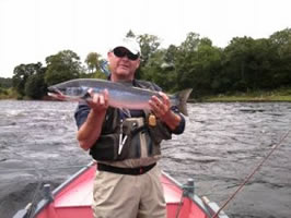 tay salmon