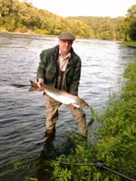 tay salmon