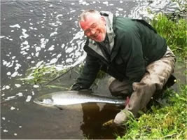 Tay salmon