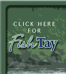 Click here to visit FishTay website